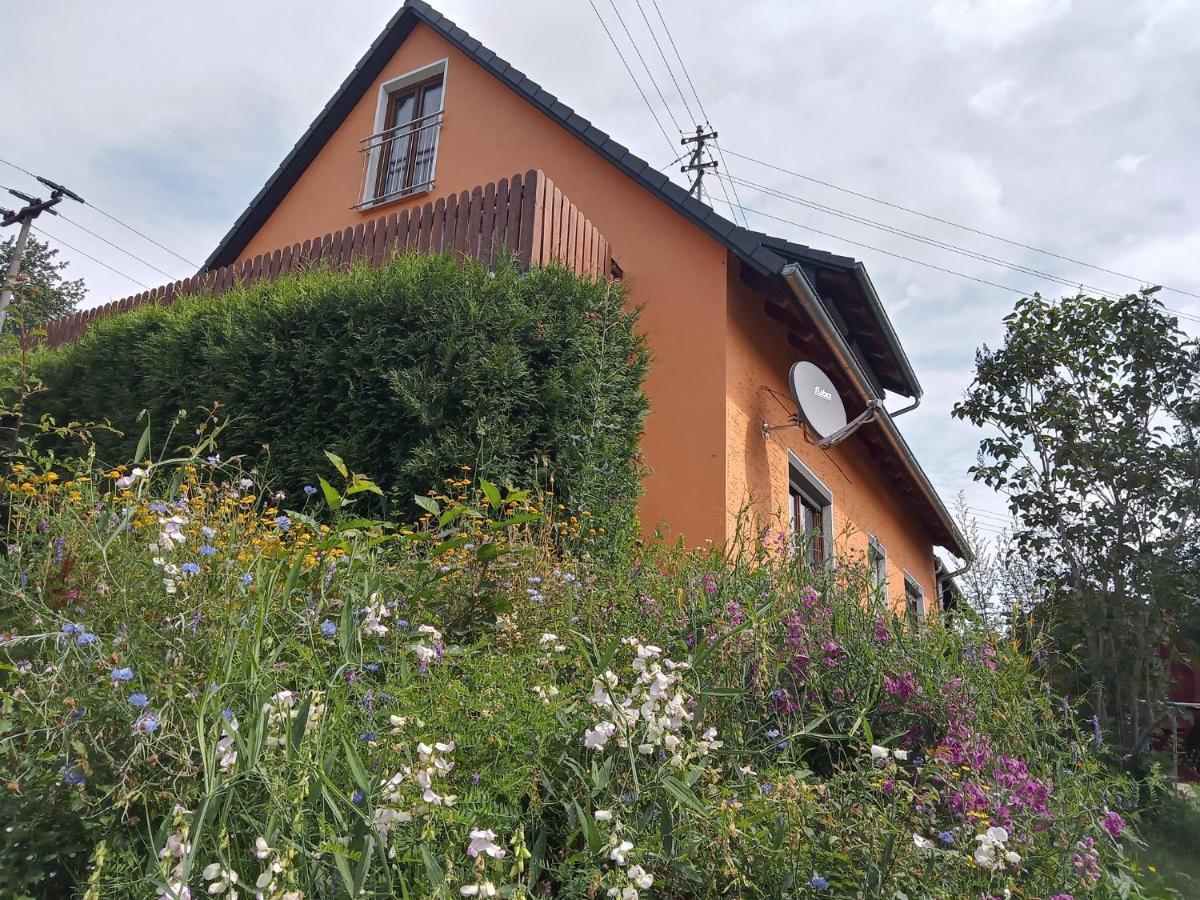 Ferienhaus Hilde Steinwiesen المظهر الخارجي الصورة